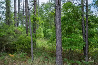 0 Phillipsville Road, Bay Minette, AL 36507 - Photo 14