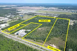 0 St Hwy 59, Gulf Shores, AL 36542 - Photo 4