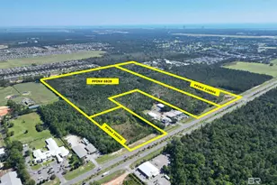 0 St Hwy 59, Gulf Shores, AL 36542 - Photo 2