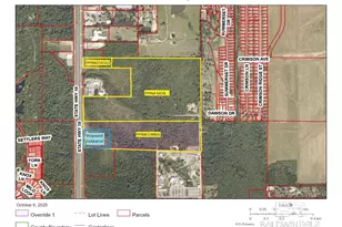 0 St Hwy 59, Gulf Shores, AL 36542 - Photo 6