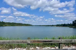33291 Steelwood Ridge Rd, Loxley, AL 36551 - Photo 24