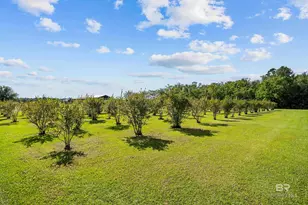 21756 Koier Rd, Robertsdale, AL 36567 - Photo 66