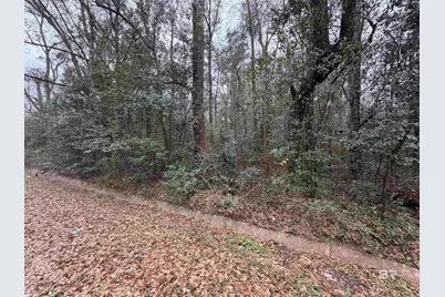 0 Carol Street, Mobile, AL 36608 - Photo 2