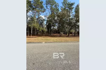 Bunker Loop, Fairhope, AL 36532 - Photo 4