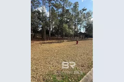 Bunker Loop, Fairhope, AL 36532 - Photo 2