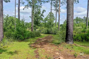 15875 Laurelbrooke Loop, Fairhope, AL 36532 - Photo 44