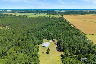 20219 Greek Cemetery Rd, Robertsdale, AL 36567 - Photo 40
