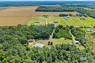 20219 Greek Cemetery Rd, Robertsdale, AL 36567 - Photo 38