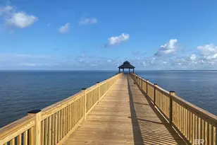28 Preserve Ct, Gulf Shores, AL 36542 - Photo 60