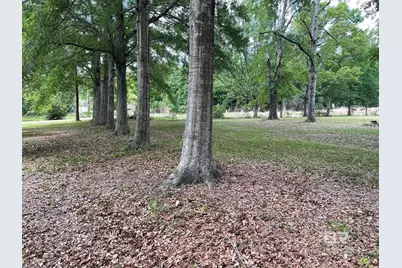27498 Wilcox Road, Robertsdale, AL 36567 - Photo 2