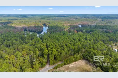 33577 Browns Landing Rd Extension, Seminole, AL 36574 - Photo 6