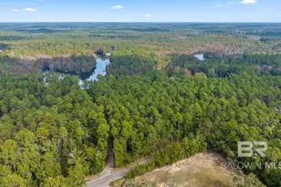 33577 Browns Landing Rd Ext, Seminole, AL 36574 - Photo 6
