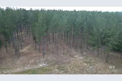 0 Ronald Sanks Road, Bay Minette, AL 36507 - Photo 14