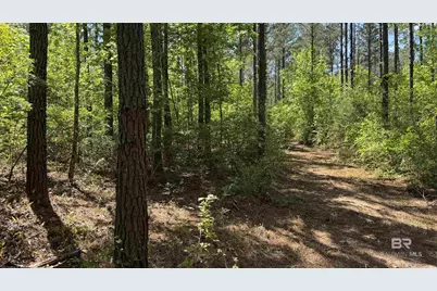 0 Ronald Sanks Road, Bay Minette, AL 36507 - Photo 10