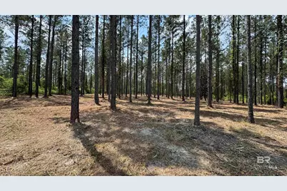 0 Ronald Sanks Road, Bay Minette, AL 36507 - Photo 16