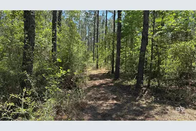0 Ronald Sanks Road, Bay Minette, AL 36507 - Photo 8