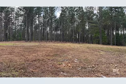 0 Ronald Sanks Road, Bay Minette, AL 36507 - Photo 12
