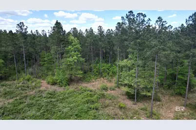 0 Ronald Sanks Road, Bay Minette, AL 36507 - Photo 20