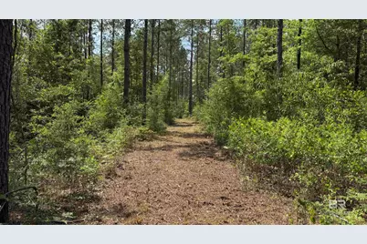 0 Ronald Sanks Road, Bay Minette, AL 36507 - Photo 6