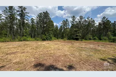 0 Ronald Sanks Road, Bay Minette, AL 36507 - Photo 2