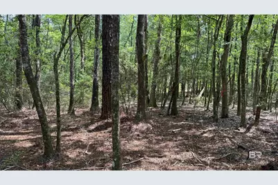 0 Ronald Sanks Road, Bay Minette, AL 36507 - Photo 18