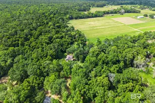 11861 W Bay Rd, Foley, AL 36535 - Photo 56