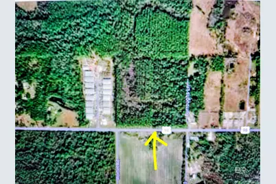 290?? US Highway 98, Elberta, AL 36530 - Photo 12