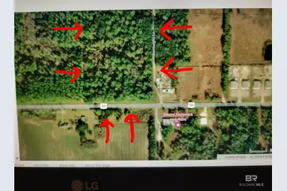 290?? US Highway 98, Elberta, AL 36530 - Photo 10
