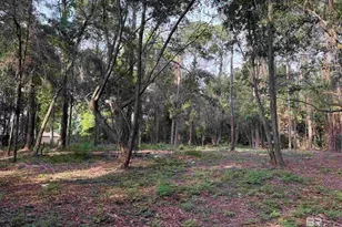 226 Denise Ln, Daphne, AL 36526 - Photo 1