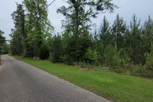 0 Peterson Ln, Bay Minette, AL 36507 - Photo 1
