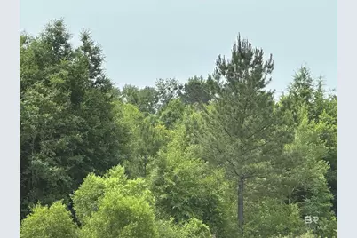 0 E County Road 54, Daphne, AL 36526 - Photo 2