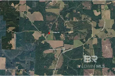 Lot 2, 0 T Bridge Road, Red Level, AL 36474 - Photo 8