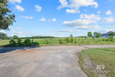 0 Lanier Lane, Chunchula, AL 36521 - Photo 12