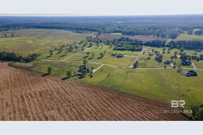 0 Lanier Lane, Chunchula, AL 36521 - Photo 2