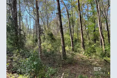 0 Stanton Road, Daphne, AL 36526 - Photo 14