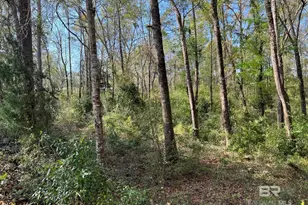 0 Stanton Rd, Daphne, AL 36526 - Photo 14