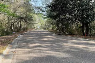 0 Stanton Rd, Daphne, AL 36526 - Photo 12
