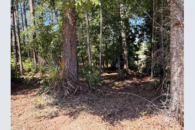 0 Woodland Drive, Elberta, AL 36530 - Photo 2