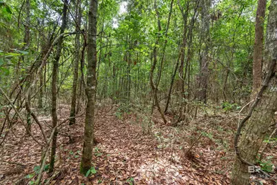24928 County Road 71, Robertsdale, AL 36567 - Photo 46