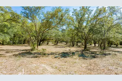 00 County Road 99, Lillian, AL 36549 - Photo 14