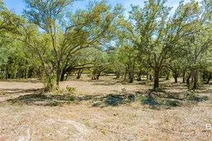 00 County Road 99, Lillian, AL 36549 - Photo 14
