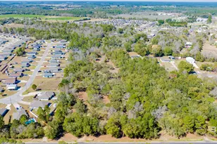 00 County Road 99, Lillian, AL 36549 - Photo 10