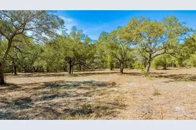 00 County Road 99, Lillian, AL 36549 - Photo 14