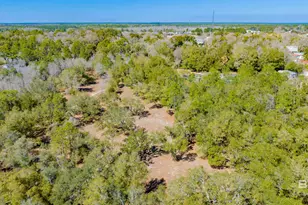 00 County Road 99, Lillian, AL 36549 - Photo 12