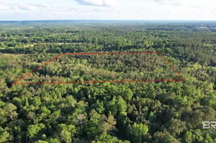 0 Pleasant Hill Rd, Century, FL 32535 - Photo 12