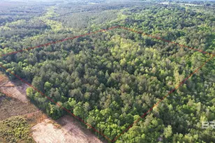 0 Pleasant Hill Rd, Century, FL 32535 - Photo 8