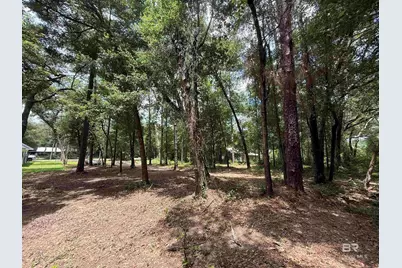 0 Jackson Lane, Foley, AL 36535 - Photo 2