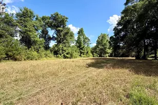 0 Green Town Rd, Bay Minette, AL 36507 - Photo 1