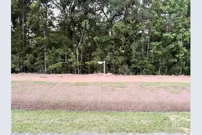 0 Pine Grove Rd Pine Grove Road, Bay Minette, AL 36507 - Photo 10
