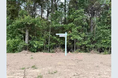 0 Pine Grove Rd Pine Grove Road, Bay Minette, AL 36507 - Photo 8